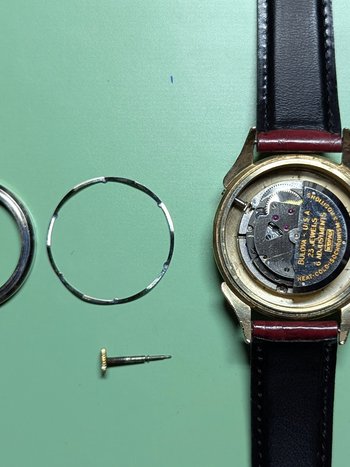 Movement ring, shock absorber, stem and crown out. 